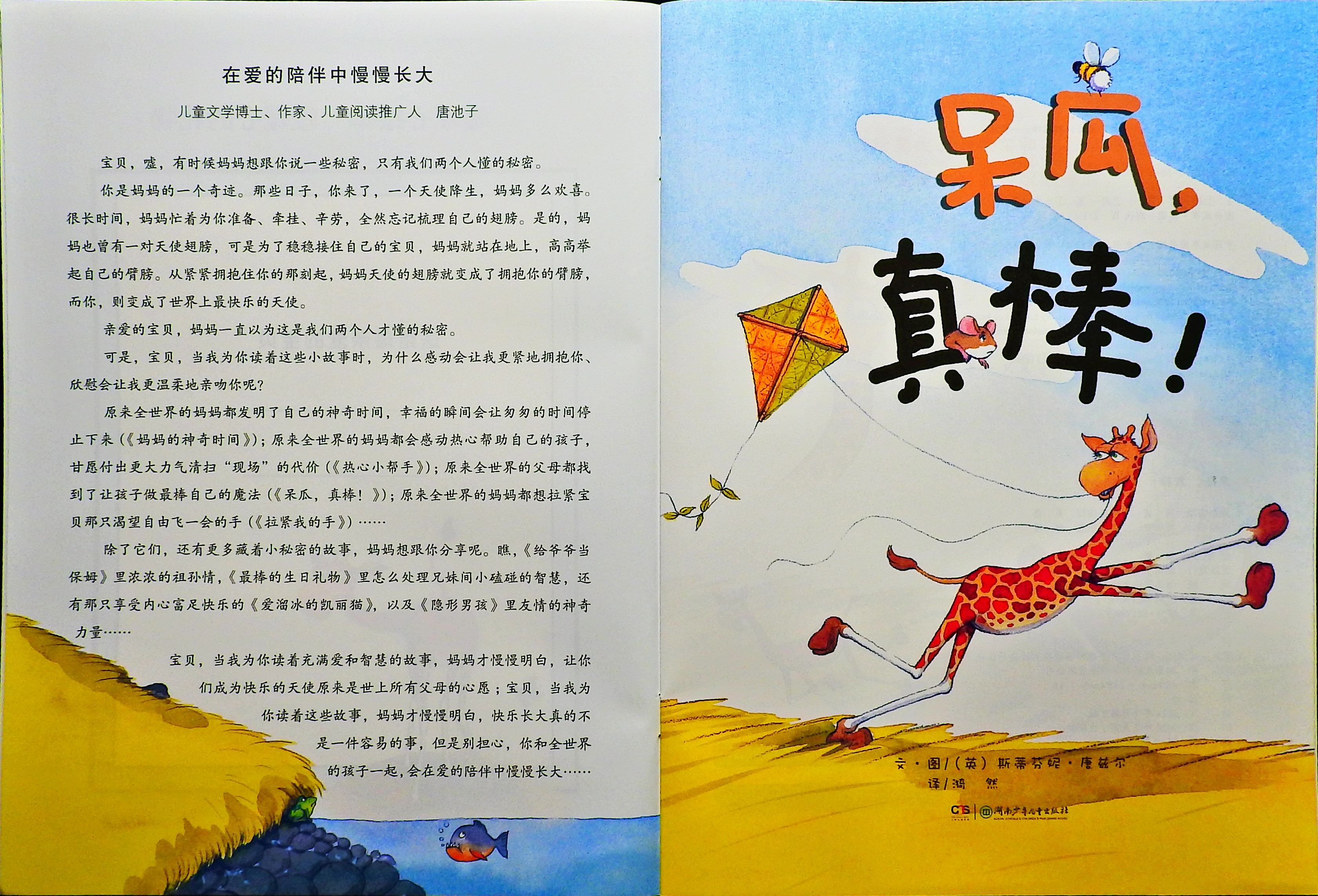 呆瓜，真棒！ (03),绘本,绘本故事,绘本阅读,故事书,童书,图画书,课外阅读
